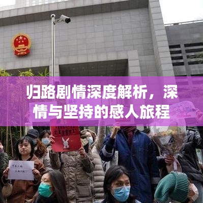 归路剧情深度解析，深情与坚持的感人旅程