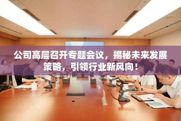 公司高层召开专题会议，揭秘未来发展策略，引领行业新风向！