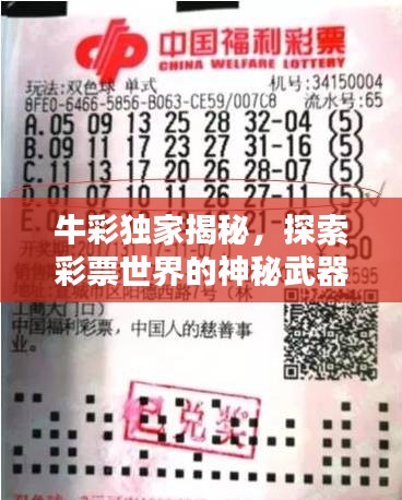 牛彩独家揭秘，探索彩票世界的神秘武器