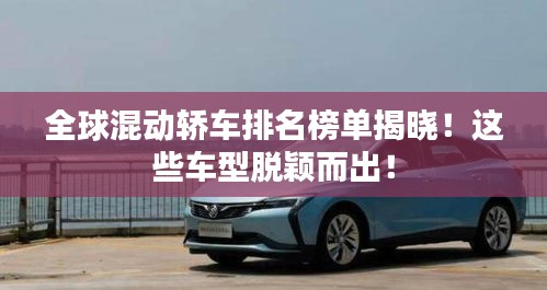 娇小玲珑