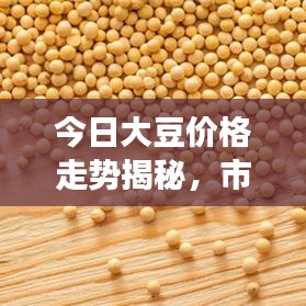 今日大豆价格走势揭秘，市场动态全面解读！