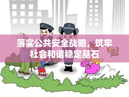 落实公共安全战略，筑牢社会和谐稳定基石