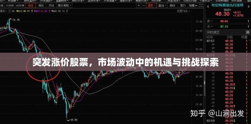 突发涨价股票，市场波动中的机遇与挑战探索