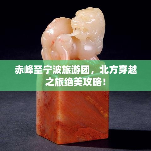展翅高飞