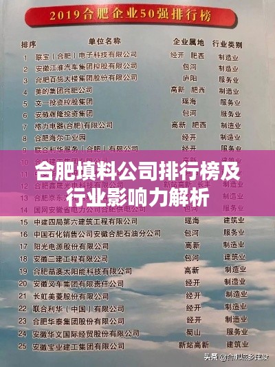 合肥填料公司排行榜及行业影响力解析