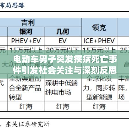 电动车男子突发疾病死亡事件引发社会关注与深刻反思