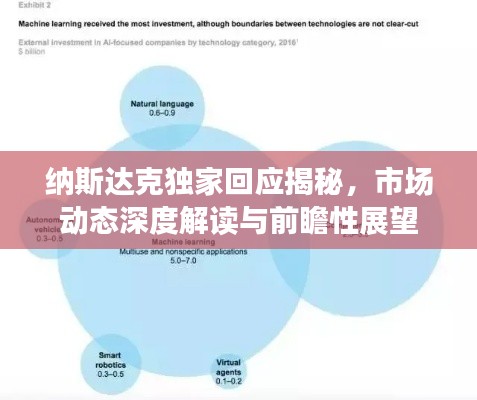 纳斯达克独家回应揭秘，市场动态深度解读与前瞻性展望