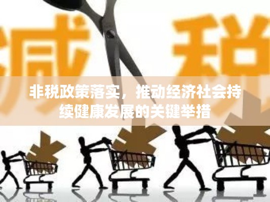 非税政策落实，推动经济社会持续健康发展的关键举措