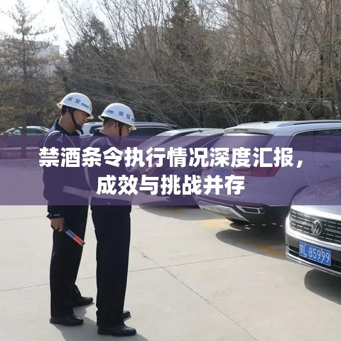 推襟送抱