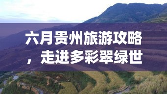 屈指可数