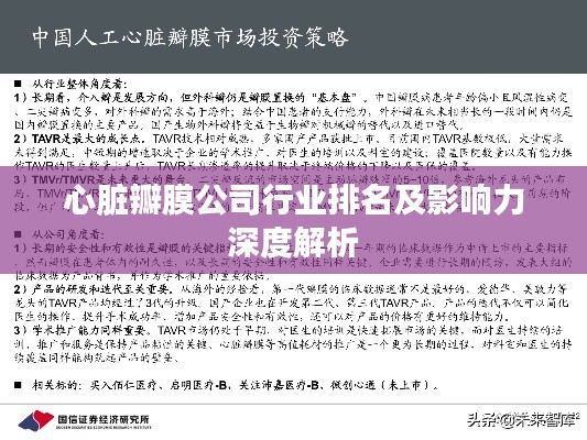 心脏瓣膜公司行业排名及影响力深度解析
