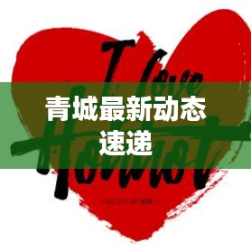 青城最新动态速递