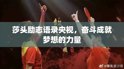 莎头励志语录央视，奋斗成就梦想的力量
