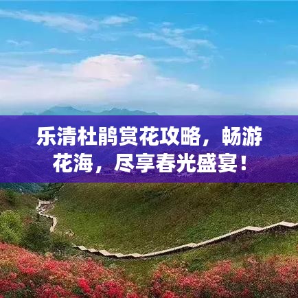 乐清杜鹃赏花攻略，畅游花海，尽享春光盛宴！
