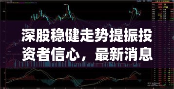 深股稳健走势提振投资者信心，最新消息与市场趋势分析