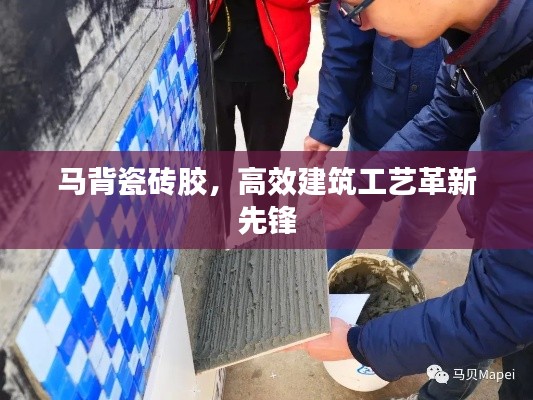 马背瓷砖胶，高效建筑工艺革新先锋