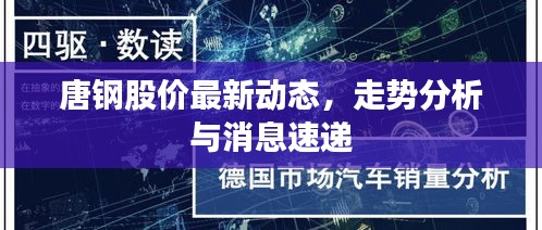 唐钢股价最新动态，走势分析与消息速递