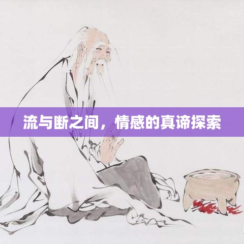 流与断之间，情感的真谛探索
