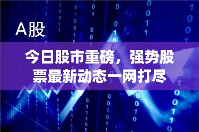 今日股市重磅，强势股票最新动态一网打尽