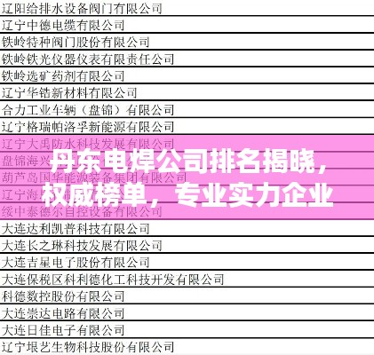 丹东电焊公司排名揭晓，权威榜单，专业实力企业一览无余！