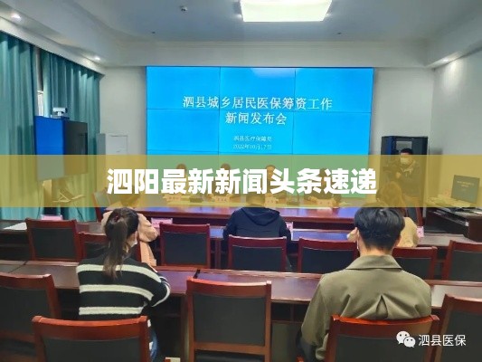 泗阳最新新闻头条速递