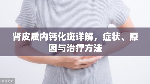 肾皮质内钙化斑详解，症状、原因与治疗方法