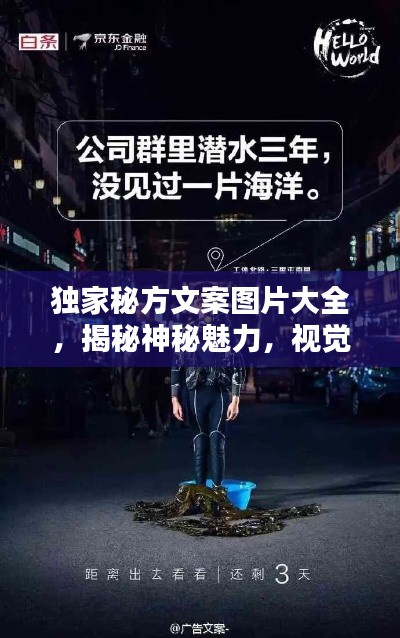 独家秘方文案图片大全，揭秘神秘魅力，视觉盛宴开启！