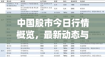 中国股市今日行情概览，最新动态与市场走势分析