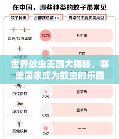 世界蚊虫王国大揭秘，哪些国家成为蚊虫的乐园？