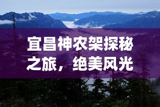 范张鸡黍