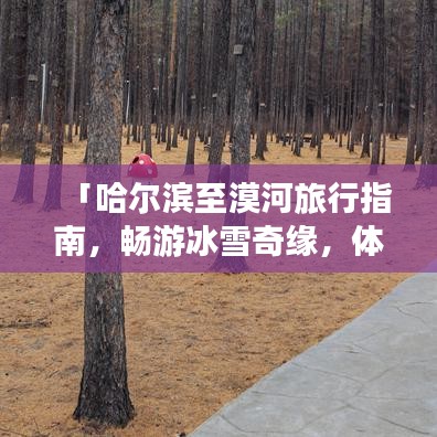 尽善尽美