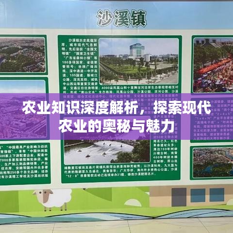 农业知识深度解析，探索现代农业的奥秘与魅力