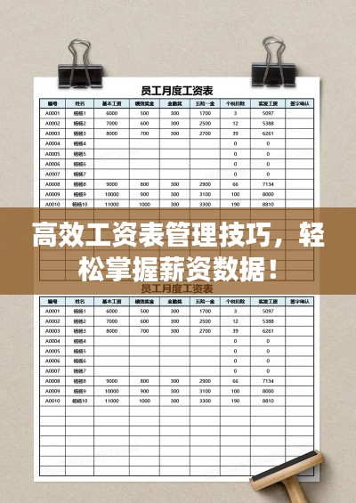 高效工资表管理技巧，轻松掌握薪资数据！