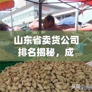 山东省卖货公司排名揭秘，成功之道探秘！