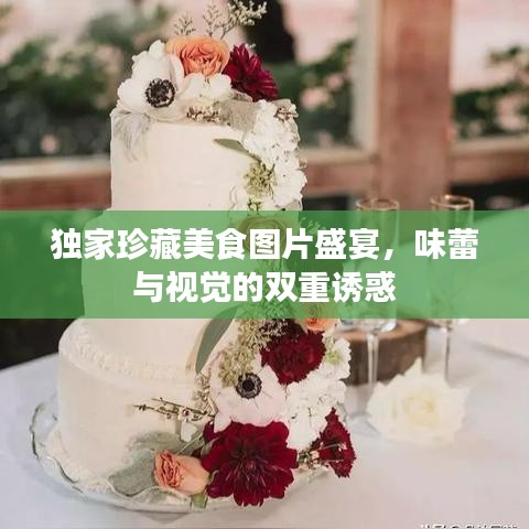 独家珍藏美食图片盛宴，味蕾与视觉的双重诱惑