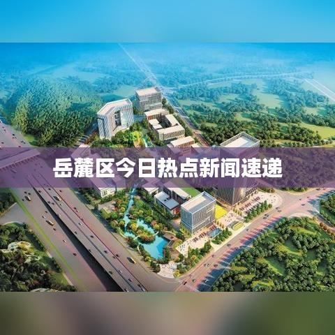岳麓区今日热点新闻速递