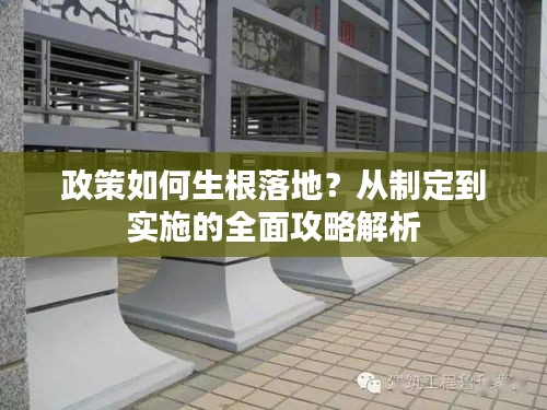 雪中送炭