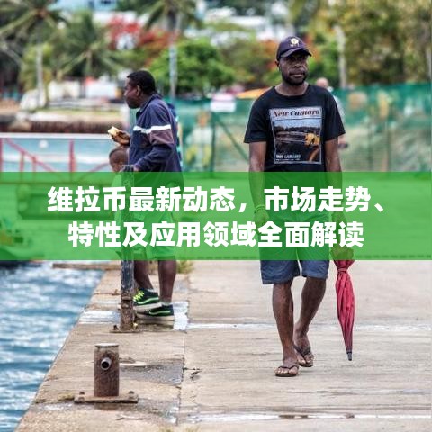 维拉币最新动态，市场走势、特性及应用领域全面解读