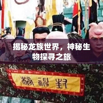 东张西望