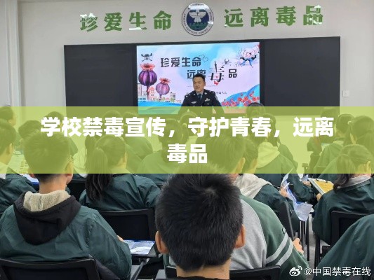 学校禁毒宣传，守护青春，远离毒品