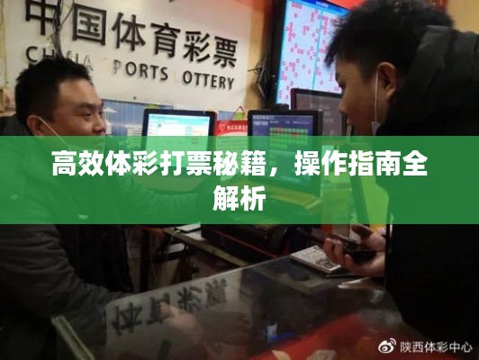 高效体彩打票秘籍，操作指南全解析