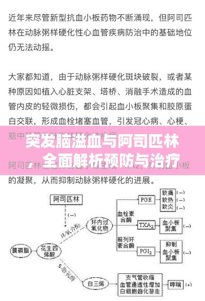 突发脑溢血与阿司匹林，全面解析预防与治疗策略