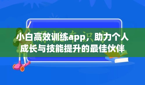 小白高效训练app，助力个人成长与技能提升的最佳伙伴