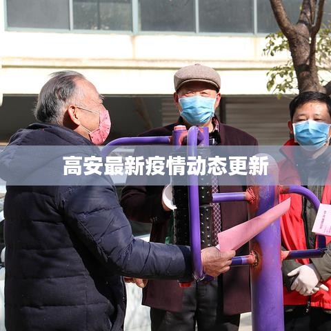 高安最新疫情动态更新