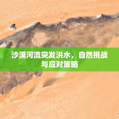 沙漠河流突发洪水，自然挑战与应对策略