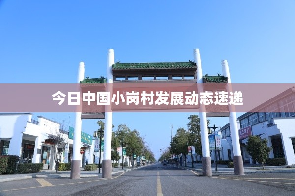 今日中国小岗村发展动态速递