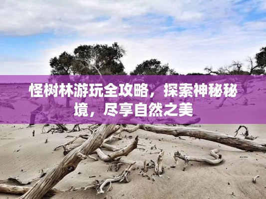 怪树林游玩全攻略，探索神秘秘境，尽享自然之美