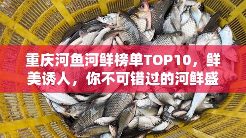 重庆河鱼河鲜榜单TOP10，鲜美诱人，你不可错过的河鲜盛宴！