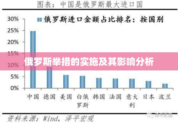 俄罗斯举措的实施及其影响分析