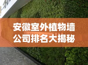 安徽室外植物墙公司排名大揭秘，探寻行业领军者的绿色魅力